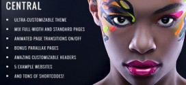 Top 16 WordPress Themes 2013