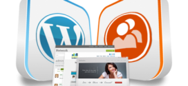 Choosing BuddyPress to Turn WordPress Site to a Social Network: Why and How