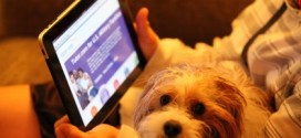 How To Get A Website Service Up And Running From Scratch