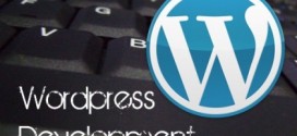 How Good Is Your WordPress Developer?