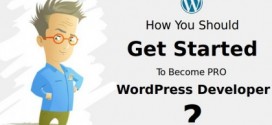 How you should Get started to Become a Professional WordPress Developer