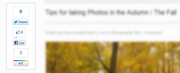 6 Social Share Buttons
