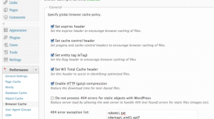 Browser Cache optimization Browser Cache optimization