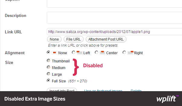 disabled image sizes