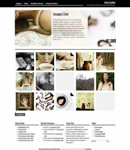 hey cookie wordpress theme hey cookie wordpress theme