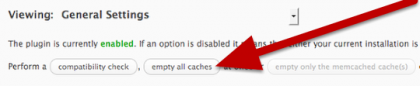 viewing cache plugin