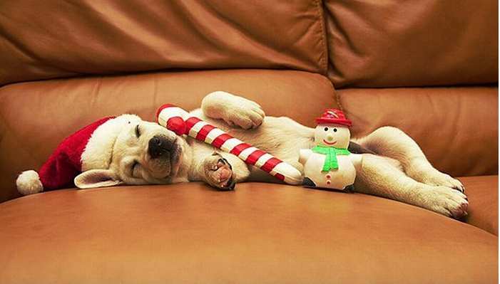 funny christmas background