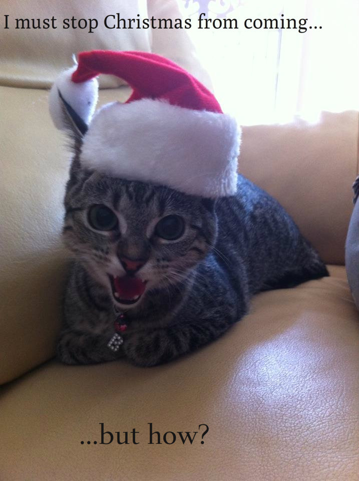 funny christmas wallpaper