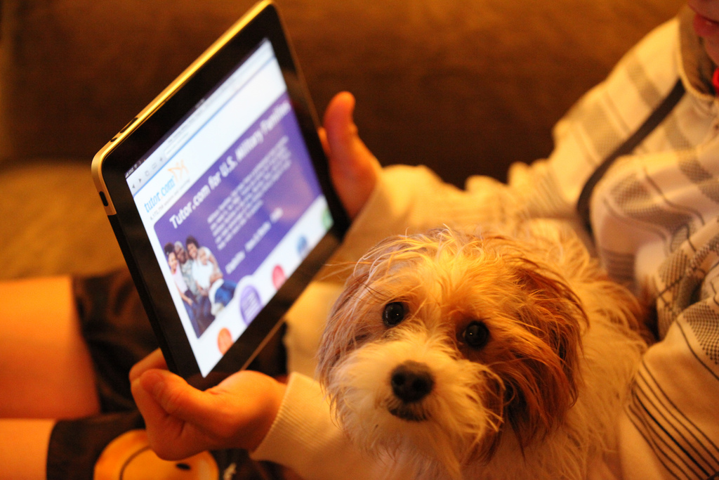 How To Get A Website Service Up And Running From Scratch