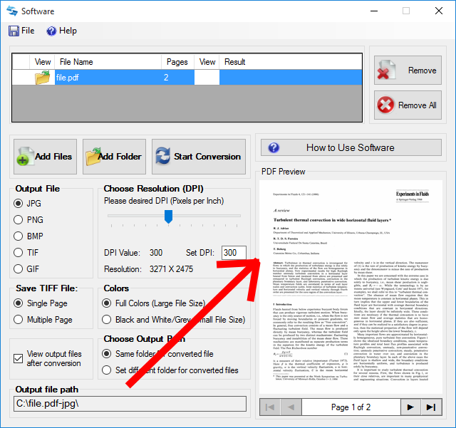 Input Image Preview